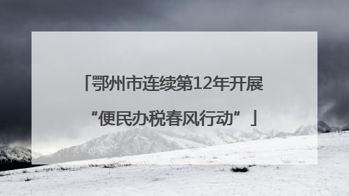 鄂州市连续第12年开展“便民办税春风行动”