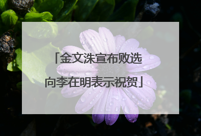 金文洙宣布败选 向李在明表示祝贺