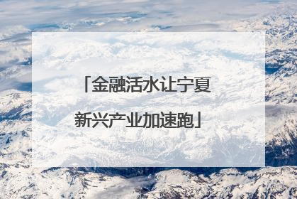 金融活水让宁夏新兴产业加速跑