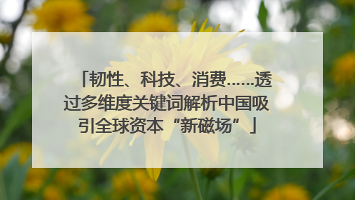 韧性、科技、消费……透过多维度关键词解析中国吸引全球资本“新磁场”