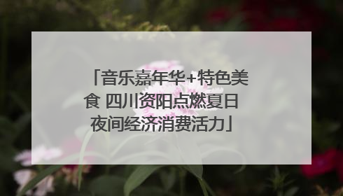 音乐嘉年华+特色美食 四川资阳点燃夏日夜间经济消费活力