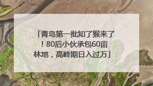 青岛第一批知了猴来了！80后小伙承包60亩林地，高峰期日入过万