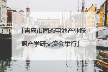 青岛市固态电池产业联盟产学研交流会举行
