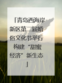 青岛西海岸新区第二届婚俗文化节举行 构建“甜蜜经济”新生态