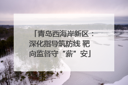 青岛西海岸新区：深化指导筑防线 靶向监督守“薪”安