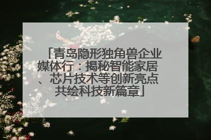 青岛隐形独角兽企业媒体行：揭秘智能家居、芯片技术等创新亮点 共绘科技新篇章
