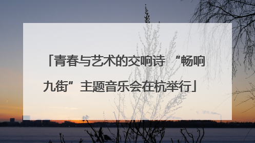 青春与艺术的交响诗 “畅响九街”主题音乐会在杭举行