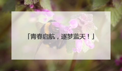 青春启航，逐梦蓝天！
