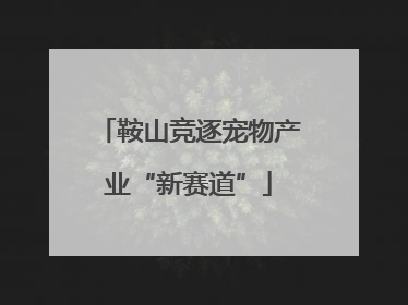 鞍山竞逐宠物产业“新赛道”