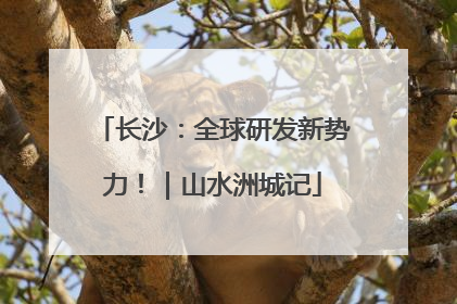 长沙：全球研发新势力！｜山水洲城记