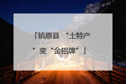 镇原县 “土特产”变“金招牌”
