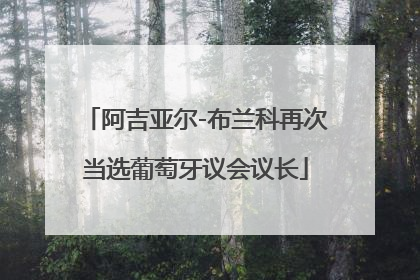 阿吉亚尔-布兰科再次当选葡萄牙议会议长