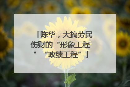 陈华，大搞劳民伤财的“形象工程”“政绩工程”