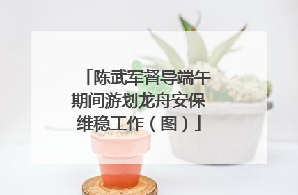 陈武军督导端午期间游划龙舟安保维稳工作（图）
