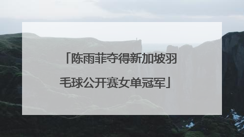 陈雨菲夺得新加坡羽毛球公开赛女单冠军