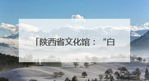 陕西省文化馆：“白+黑”“馆+景”，文化供给向美而聚