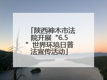 陕西神木市法院开展“6.5”世界环境日普法宣传活动