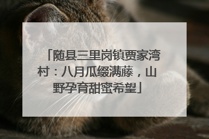 随县三里岗镇贾家湾村：八月瓜缀满藤，山野孕育甜蜜希望