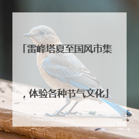 雷峰塔夏至国风市集，体验各种节气文化