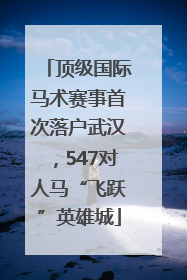 顶级国际马术赛事首次落户武汉，547对人马“飞跃”英雄城