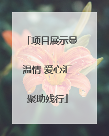 项目展示显温情 爱心汇聚助残行