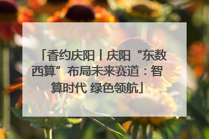 香约庆阳丨庆阳“东数西算”布局未来赛道：智算时代 绿色领航