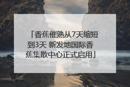 香蕉催熟从7天缩短到3天 新发地国际香蕉集散中心正式启用