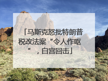 马斯克怒批特朗普税改法案“令人作呕”，白宫回击