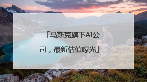 马斯克旗下AI公司，最新估值曝光