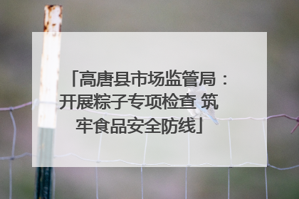 高唐县市场监管局：开展粽子专项检查 筑牢食品安全防线