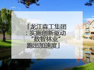 龙江森工集团：实施创新驱动 “数智林业”跑出加速度