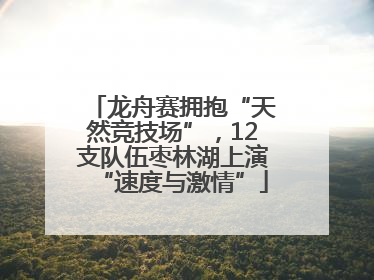 龙舟赛拥抱“天然竞技场”，12支队伍枣林湖上演“速度与激情”