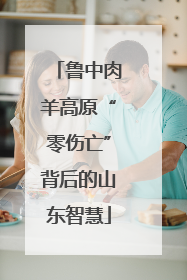 鲁中肉羊高原“零伤亡”背后的山东智慧
