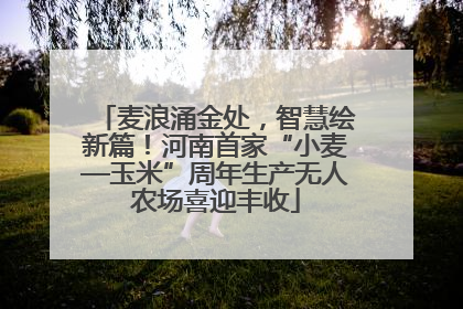 麦浪涌金处，智慧绘新篇！河南首家“小麦—玉米”周年生产无人农场喜迎丰收
