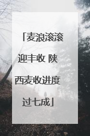 麦浪滚滚迎丰收 陕西麦收进度过七成