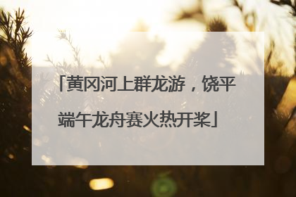 黄冈河上群龙游，饶平端午龙舟赛火热开桨
