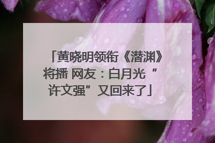 黄晓明领衔《潜渊》将播 网友：白月光“许文强”又回来了
