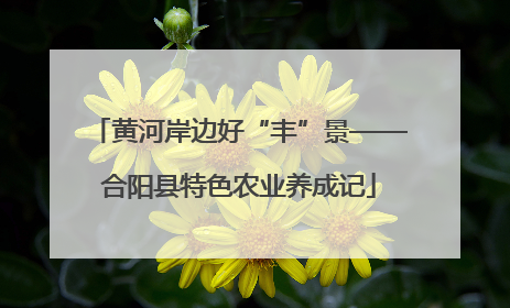 黄河岸边好“丰”景——合阳县特色农业养成记