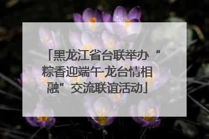 黑龙江省台联举办“粽香迎端午·龙台情相融”交流联谊活动