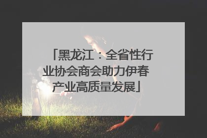 黑龙江：全省性行业协会商会助力伊春产业高质量发展