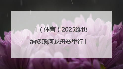（体育）2025维也纳多瑙河龙舟赛举行