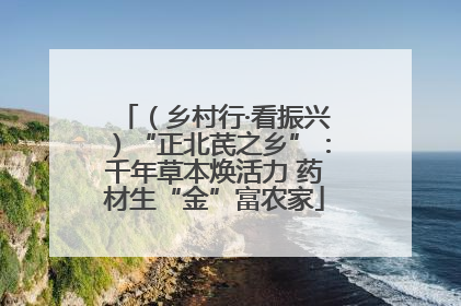 （乡村行·看振兴）“正北芪之乡”：千年草本焕活力 药材生“金”富农家