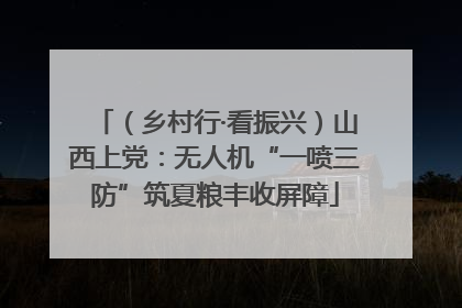 （乡村行·看振兴）山西上党：无人机“一喷三防”筑夏粮丰收屏障