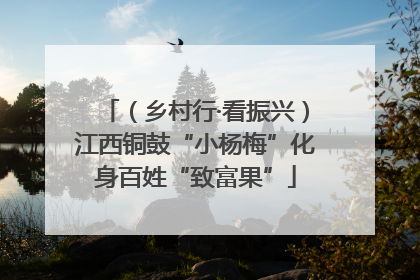（乡村行·看振兴）江西铜鼓“小杨梅”化身百姓“致富果”