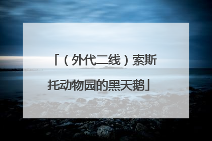 （外代二线）索斯托动物园的黑天鹅