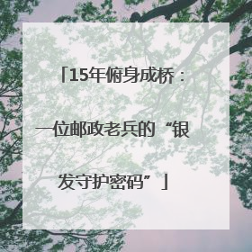 15年俯身成桥：一位邮政老兵的“银发守护密码”