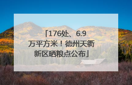 176处、6.9万平方米！德州天衢新区晒粮点公布