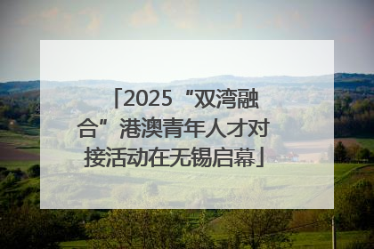 2025“双湾融合”港澳青年人才对接活动在无锡启幕