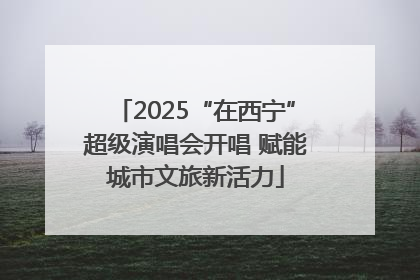 2025“在西宁”超级演唱会开唱 赋能城市文旅新活力