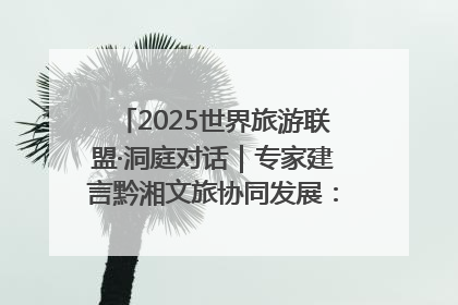 2025世界旅游联盟·洞庭对话｜专家建言黔湘文旅协同发展：聚焦产品稀缺性 深化区域经验共享